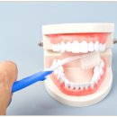 이로운치과의원 이미지