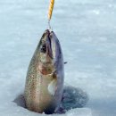 산천어시네마 이미지