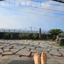 하도리움 제주독채 감성숙소 | 제주도펜션 하도리움 제주 감성숙소 2박3일 여행 후기 어땠을까?