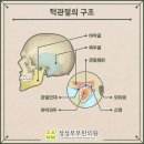 정성부부한의원 이미지
