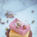 러쉬(LUSH) 이미지