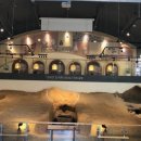 백제문화체험박물관 이미지