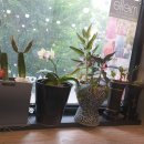 2001아웃렛 앞(2) 이미지