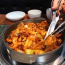 조가네갑오징어 이미지