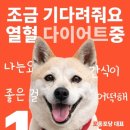 포 프렌즈