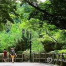 도시공원 이미지