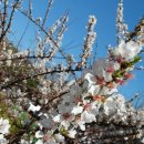 본죽&비빔밥김해휴앤락몰점 이미지