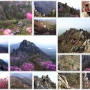 박성봉농장 이미지