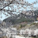 사계절꽃 - 서구 가정로 323 | 사계절꽃