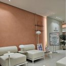 석촌서울치과의원 이미지