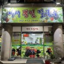 이서뽕잎칼국수