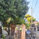 화순양옥 이미지