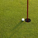 비전골프 이미지