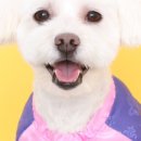 솔스튜디오