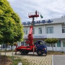 대구면사무소 이미지