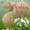 사랑으로 이미지