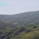 거문초동도분교장 이미지