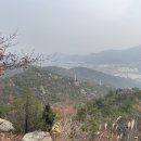 과천시청 내 이미지