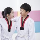 고려체대태권도 네이버블로그