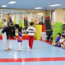 다송MTA태권도 이미지