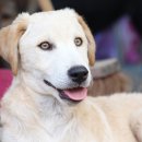 알파동물병원 이미지