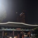 아일랜드호텔 | 신라호텔 어반아일랜드 후기