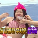 크레이지독스짐 이미지