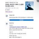 우창호텔 | [와이키키•day7] 핑크 세일즈 거북이투어 후기/ 와이켈레 샘소나이트 / 보일링씨푸드 케이준크랩