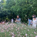 화순초 이서분교 이미지