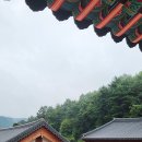 안동역<=>한국문화테마파크 순환 | 안동 여행지 코스 갈만한곳 | 한국문화 테마파크 | 경북 가볼만한곳