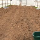 김영곤 농장 이미지