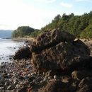 거북만 펜션 이미지