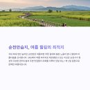 순천만쉼표2 이미지