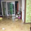 중고 카메라 구매 후기, 중고 캐논 EOS 600D 후기