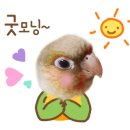 우리코코
