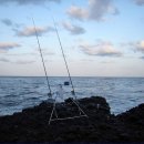 참가자미나라 이미지