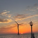 판판포포 이미지