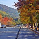 물문화관 이미지