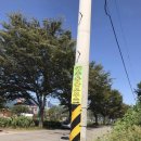 본촌 건국동 주민센터 이미지