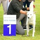 그래요 이미지