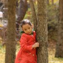 가을소녀 이미지