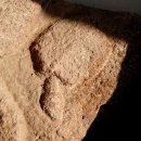 별주부전 이미지