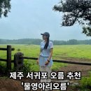 수망리 | [물영아리오름] - 제주 서귀포 오름추천/주차장/최단코스/포토존
