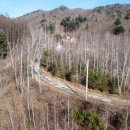 평창돼지갈비 · 삼겹살 이미지