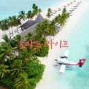 라이프 게스트하우스 이미지
