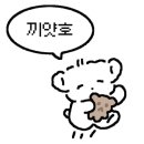 퍼피스프링 강서점 이미지