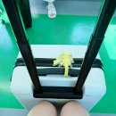 731 | 티웨이 김포-제주 TW731편 탑승후기