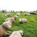 아이원리조트 이미지