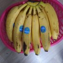 그린팜마트 - 성북구 고려대로2길 37 | 그린팜마트