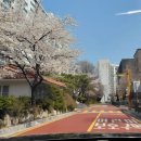 서울상월초등학교 이미지